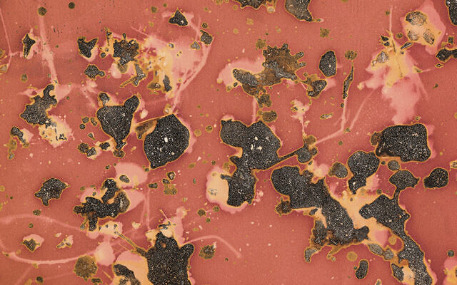 “Untitled 2.” A lumen print created with soil collected near a mass killing site in Mszana Dolna, Poland. 29.7 x 21 cm, 2023. (All photos courtesy of Mark Isaac and Gabriela Bulisova)