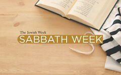 (Jewish Week Graphic)