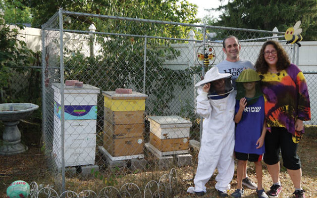 Jonathan and Alyson Miller and their sons, Jonah, left, and Sam in front of their bee colonies in the backyard of their Springfield home.