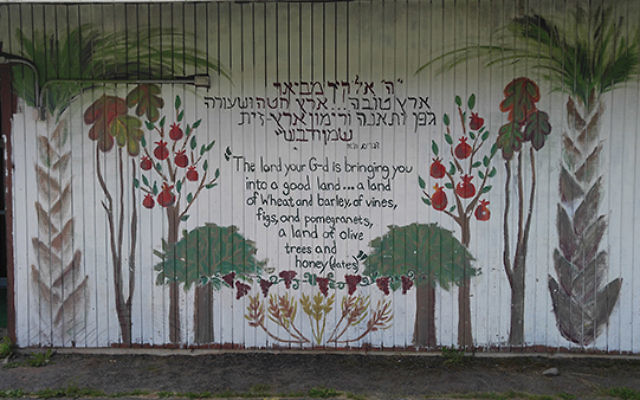 A mural decorates one of the walls of Tel Yehudah’s dining hall.