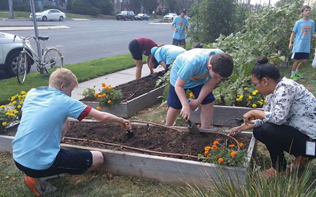 Teens wearing Mitzvah Mania shirts pick, plant, and prune the community garden of Jewish Family Service of Central NJ, a project supported by a grant from Iris Teen Tzedakah. 