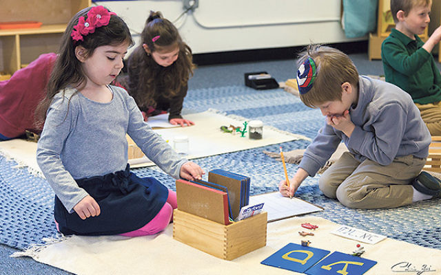Youngsters at Yeshivat Netivot Montessori in East Brunswick; head of school Rivky Ross said that “creating one organization representing everyone” will further efforts to lower costs and increase efficiency.