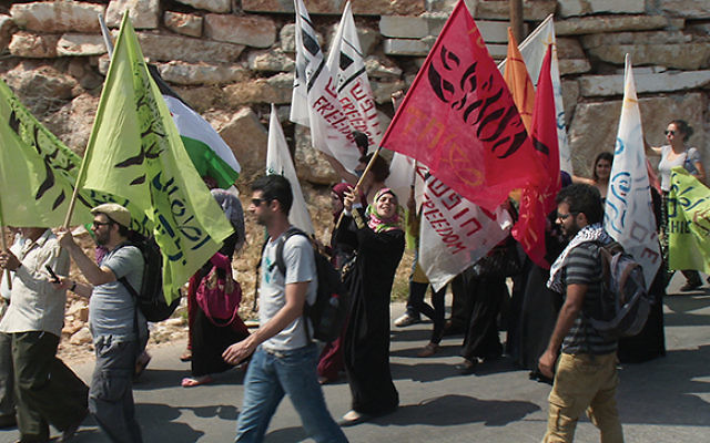 Israelis march on one side of a fence near Beit Jala in a 2014 demonstration for peace; Palestinian activists march
on the other side. Photo from “Disturbing the Peace”