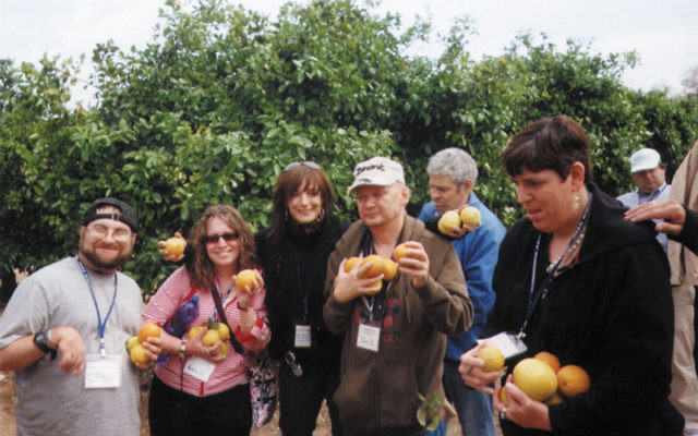 JESPY trip participants — including Mike Jaslow, far left — pick fruit during a tour of a kibbutz with an Israeli peer group. Photos courtesy JESPY House