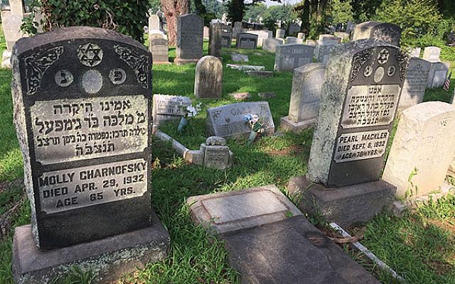 The Greater Trenton Jewish Cemetery Project aims to restore stones like the one toppled over between these two graves. (Photo courtesy Greater Trenton Jewish Cemetery Project)