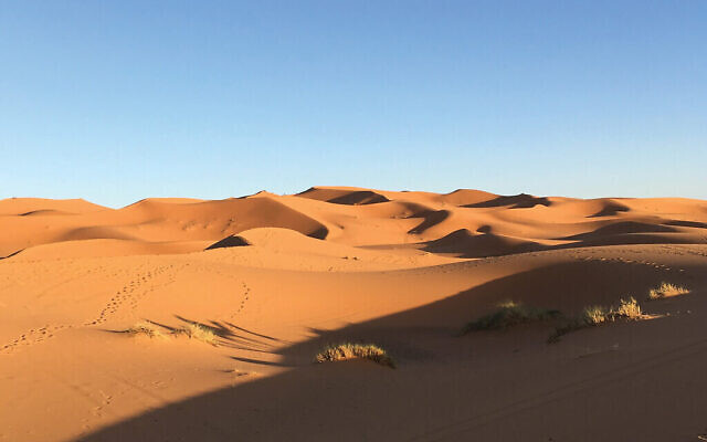 The stark beauty of the Sahara Desert. Photos by Lori Silberman Brauner
