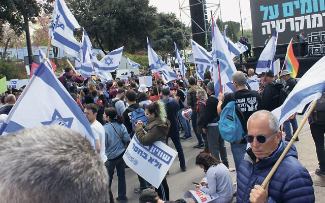 These photos were taken at rallies in Jerusalem and throughout the country. 
(Courtesy Danielle Nyman)