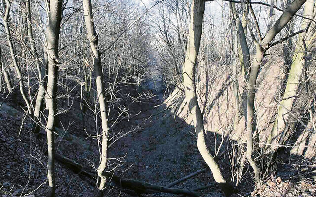 The Babyn Yar killing site in Kyiv, Ukraine is made up of dozens of ravines and ditches where the German occupation forces and their allies killed tens of thousands of Jews and non-Jews in September 1941. (Courtesy of The Babyn Yar Holocaust Memorial Center)
