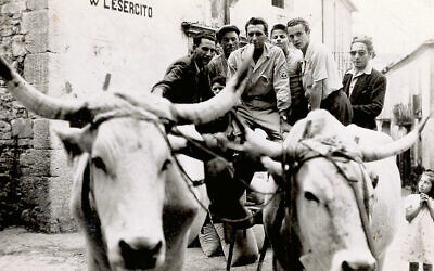 Technical Sgt. Sam Geftic takes the reins of an oxcart filled with villagers during the Italian campaign in 1944 or ’45.
