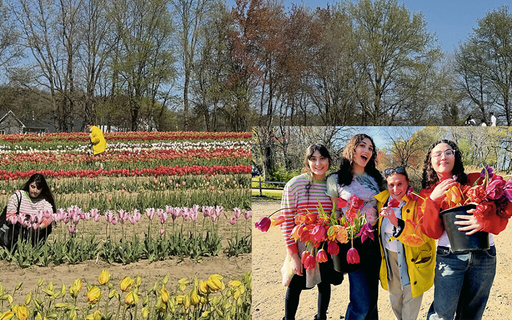The fields bloom with tulips this time of year. Inset, These are three of Ms. Fein’s daughters — Izzi, Dahlia, and Adiel Ramirez — with their grandmother, Deedee Fein. (Lori Fein)
