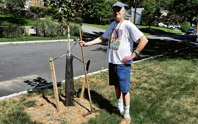 Jon Lazarus stands proudly next to his small new maple sapling.