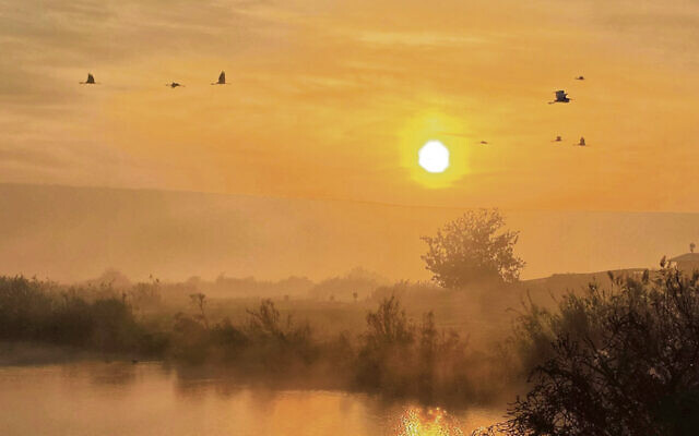 (Photos by Inbar Shlomit Rubin, KKL-JNF)