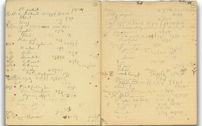 These are pages from Wingate’s English/Hebrew notebooks.
