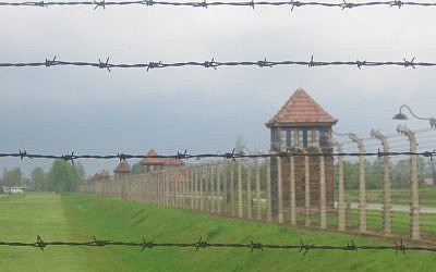 The Auschwitz-Birkenau death camp (Ilan Ben Zion/Times of Israel)