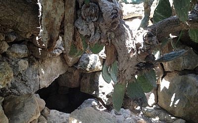 Perampok makam, terowongan kuno, dan gulungan Laut Mati yang samar membawa drama ke pinggiran kota yang sepi