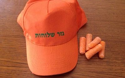 Topi Gezer Shluhot Yosi Kanner, dan beberapa baby wortel (kredit foto: Jessica Steinberg)