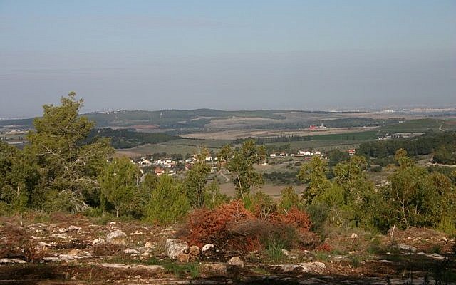 Pemandangan fantastis dari Hutan Presiden (kredit foto: Shmuel Bar-Am)