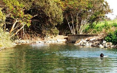 Springs in Emek Hamayanot (photo credit: Publicity, Azoulay PR)