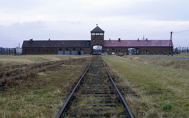 Auschwitz Sets Record With 1 43 Million Visitors In 2012 The Times Of Israel