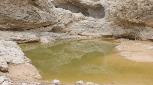 A natural pool along the ancient Qumran cliffs (photo: courtesy Shmuel Bar-Am)