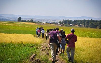 The group makes its way to Jenda, passing green and yellow fields, in a single-file line (photo credit: Michal Shmulovich/ToI)
