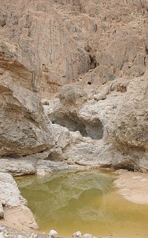 A natural pool along the ancient Qumran cliffs (photo credit: Shmuel Bar-Am)
