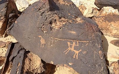 An ancient etching of a guy on a horse, trying to spear an ostrich; rock art in the desert (photo credit: Jessica Steinberg/Times of Israel)