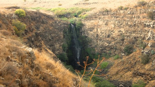 Gamla waterfall (photo credit: Shmuel Bar-Am)