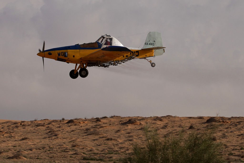 A crop-dusting plane sprays a field in Israel's Negev Desert, Wednesday (photo credit: Dror Garti/Flash90)