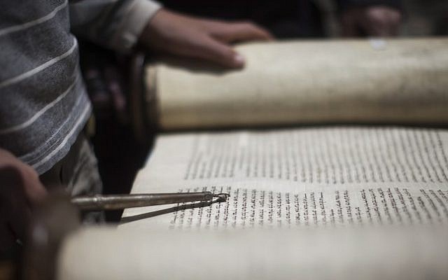 Illustrative photo of a young man reading from a Torah scroll (Yonatan Sindel/Flash90)