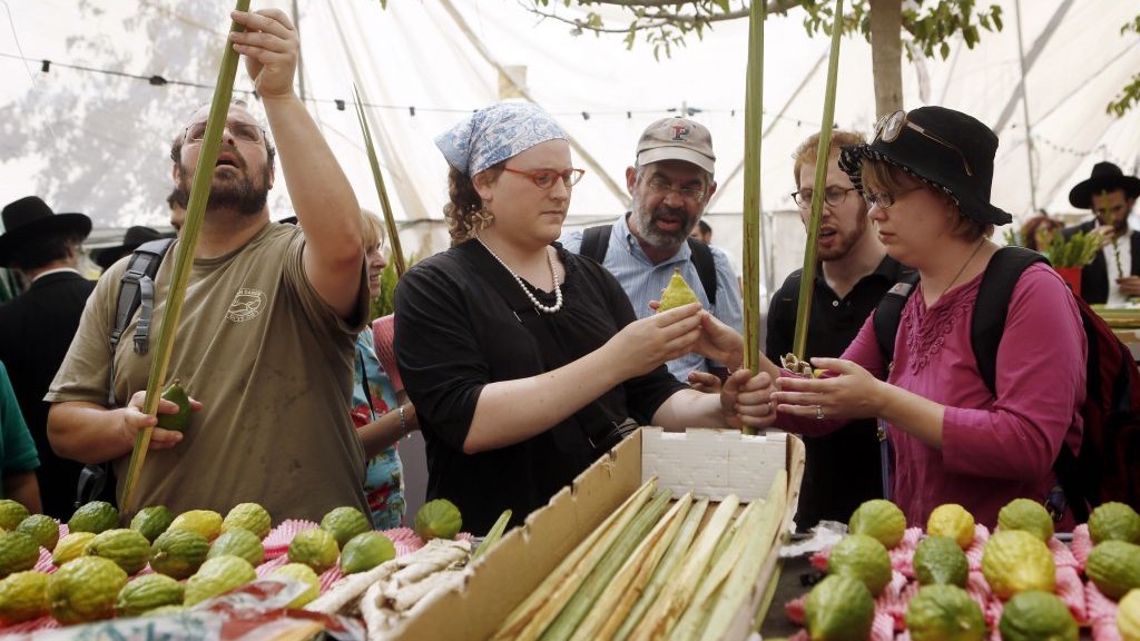 Examining palm-branches and citrons, known as lulav and etrog, for imperfections, at the 'four-species' market in Jerusalem on September 16, 2013. (illustrative photo credit: Miriam Alster/Flash90)