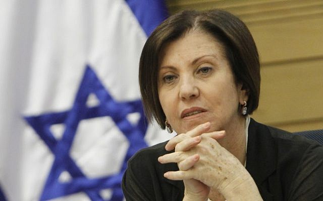 Meretz leader MK Zahava Galon, June 2013. (Miriam Alster/Flash90)