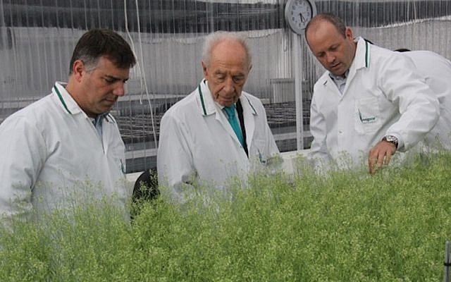 Former president Shimon Peres examines experimental plants produced by the Israeli agritech firm Evogene, on a visit to the company's headquarters, July 15, 2013. (Courtesy)
