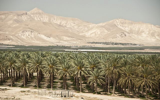 The Jordan Valley. (CC BY Trocaire, Flickr)