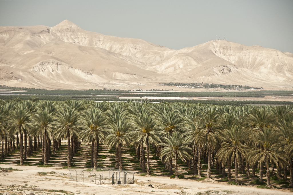 to announce major land appropriation in Jordan Valley | The Times