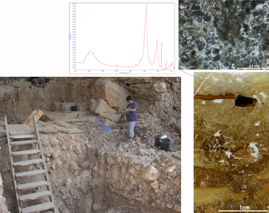 Upper left: Infrared spectrum of the grey sediments, right, showing that the dominant material is calcite, the mineral of which the wood ash is composed. Lower left: Photograph of the cave during excavation; arrow pointing to the hearth. Upper right: micro-morphological image of the grey sediment showing dark grey particles and patches corresponding to the remains of wood ash. Lower right: Scan of a micro-morphological, thin section showing the layered burnt bones (yellow, brown and black fragments), intermixed with grey sediments. (Courtesy: Weizmann Institute)