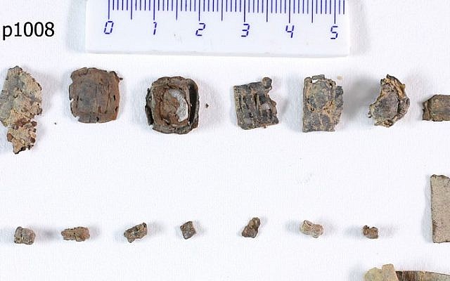 Seven recently rediscovered unopened tefillin scrolls from Qumran. (photo credit: Shai Halevi via Israel Antiquities Authority) 
