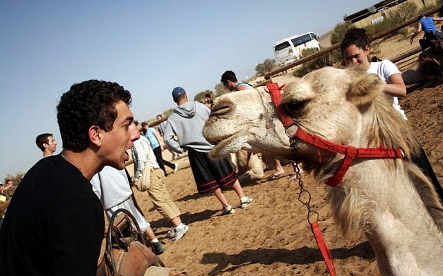 A Birthright participant encountering Israeli fauna. (photo credit: Melanie Fidler/Flash 90)