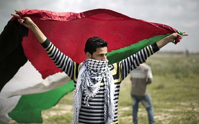 A protester waves a Palestinian flag towards the Israeli border fence during a protest marking Land Day at the border between Israel and Gaza Strip on March 30, 2014 (photo credit: AFP)