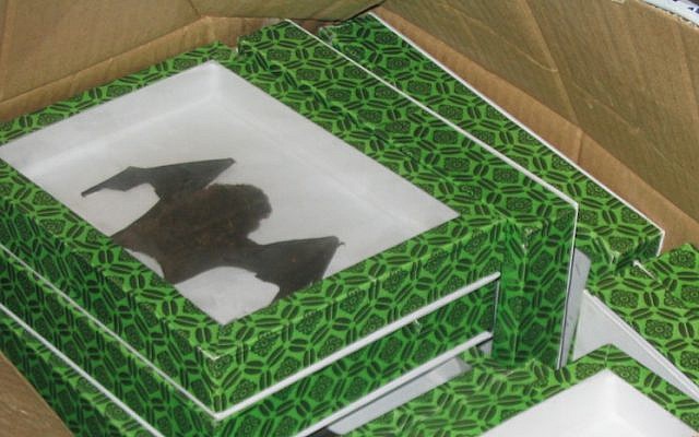Customs officials found these stuffed bats in an electronics shipment at Ashdod Port (Photo credit: Courtesy)