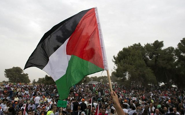 Illustrative photo of a protester holding up a Palestinian flag (AFP/Ahmad Gharabli)