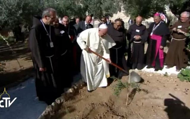 Pope Francis planting a tree. (Screen capture: Vatican TV)