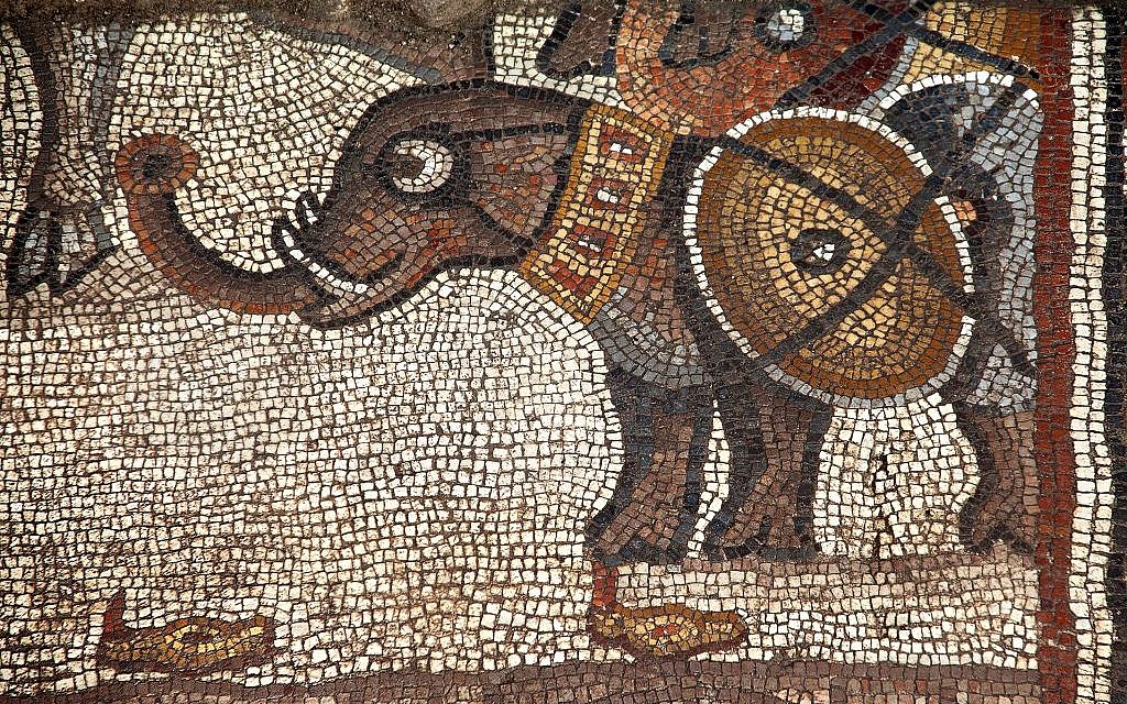 The Huqoq synagogue's 5th century mosaic, with the upper register showing a war elephant. (photo credit: Jim Haberman)