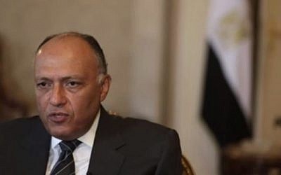 Egyptian Foreign Minister Sameh Shukri (photo credit: YouTube screen capture)
