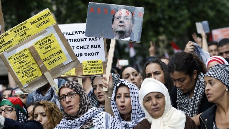 Protesters hold placards calling for the boycott of Israel and one depicting French president Francois Hollande with the word "assassin", on July 13, 2014 in Paris, during a demonstration against Israel and in support of residents in the Gaza Strip, where a six-day conflict has left 166 Palestinians dead.  (photo credit: KENZO TRIBOUILLARD / AFP)