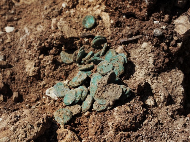 A trove of coins from the Jewish Revolt found outside Jerusalem by IAA archaeologists. (photo credit: Vladimir Neichin, IAA)