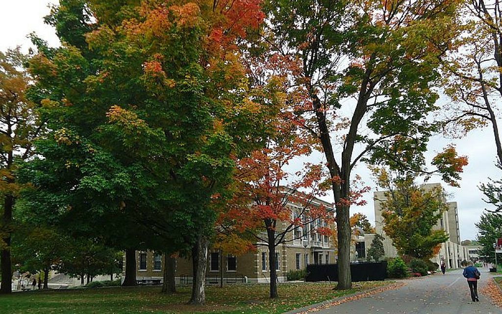 $5M bequest to UMass Amherst to benefit Judaic studies, Hillel | The ...