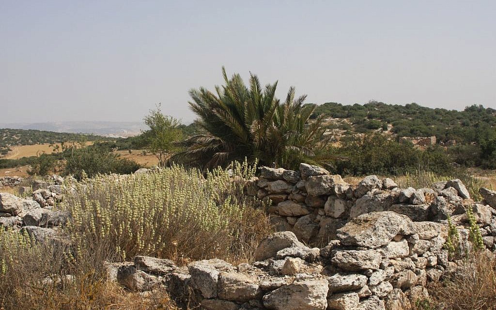 The ruins of Hurvat Patom (Photo credit: Shmuel Bar-Am)