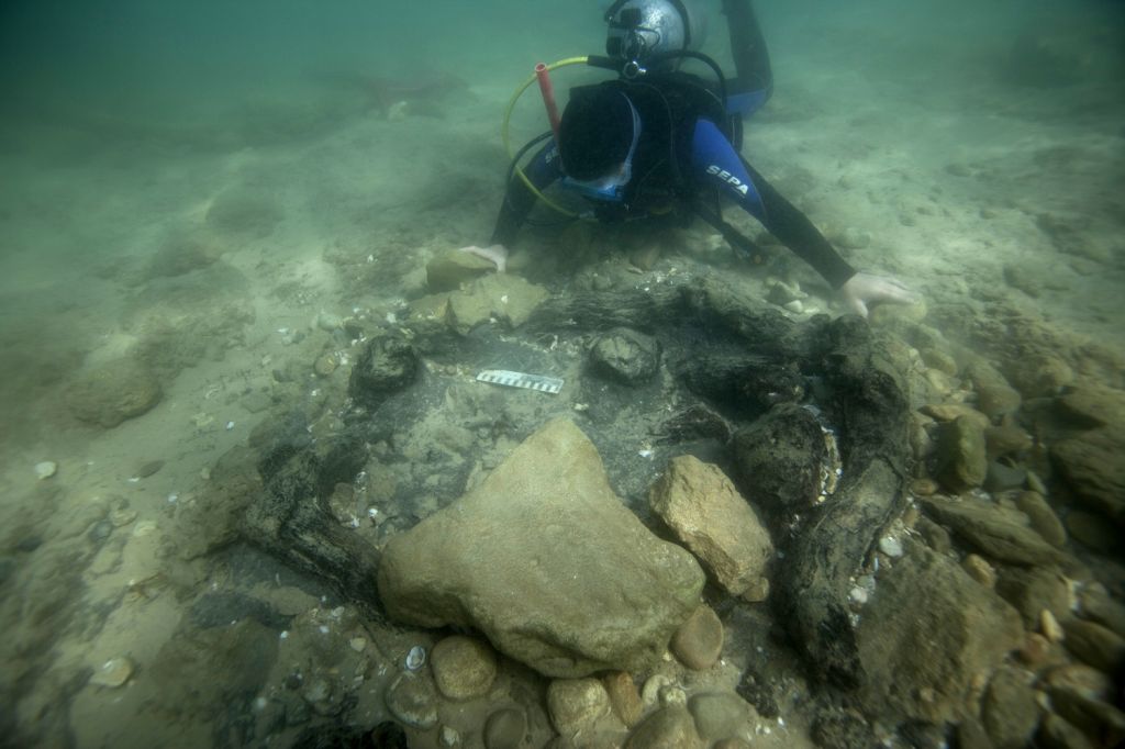 Remains of Neolithic 'Atlantis' found off Haifa coast | The Times of Israel