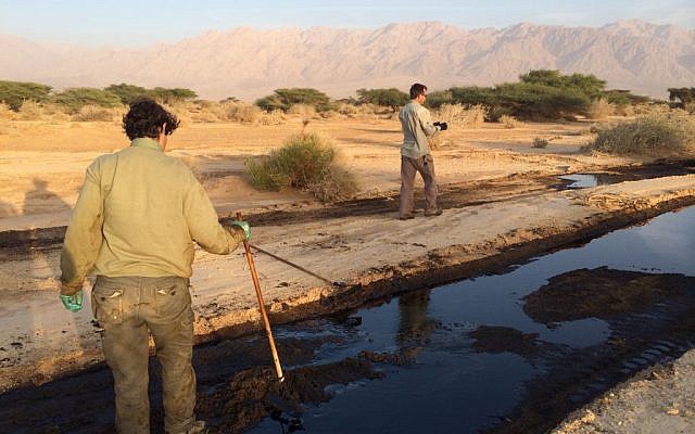 View of the oil spill in the Arava area of southern Israel on December 10, 2014 (photo credit: Shahar Ischarov/Israeli Environmental Protection Ministry)